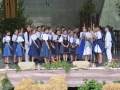 1-sfs (21)